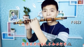 葫芦丝大海啊故乡简谱(2)
