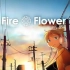 【甲苯】fire◎flower