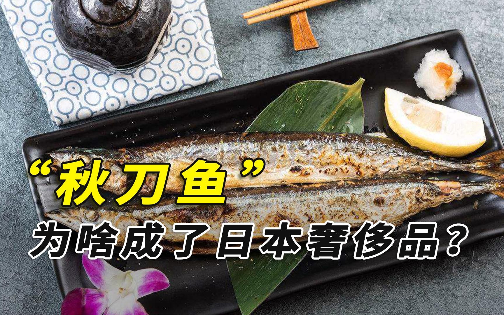 中国廉价的秋刀鱼，成为日本奢侈品后，他们竟想“甩锅”给我们