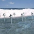 日本开发波浪能发电机，据说1% 沿岸能量可抵 10 座核电厂