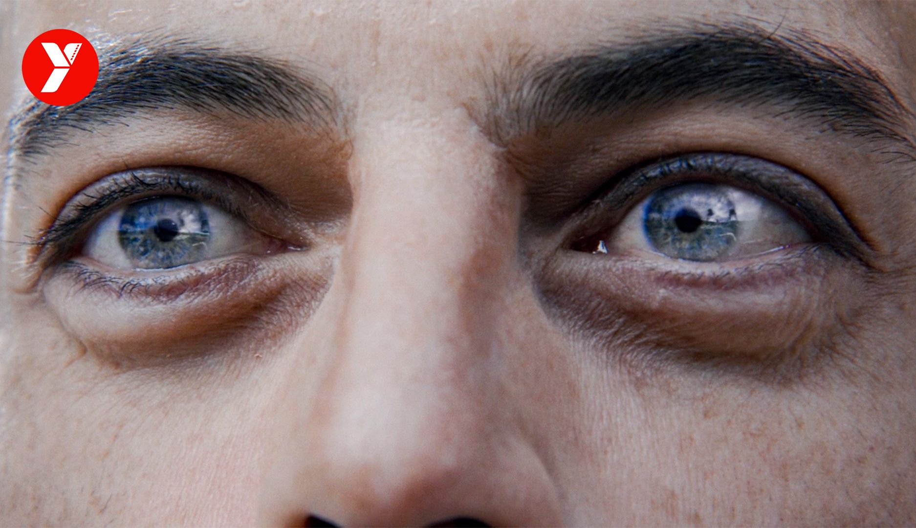 【越哥】史上最赚钱的传记电影，口碑票房双丰收，看得我热血沸腾！