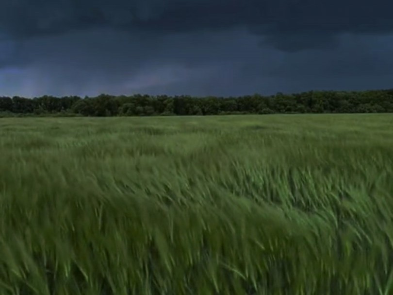 “有些人天生喜欢这种感觉”