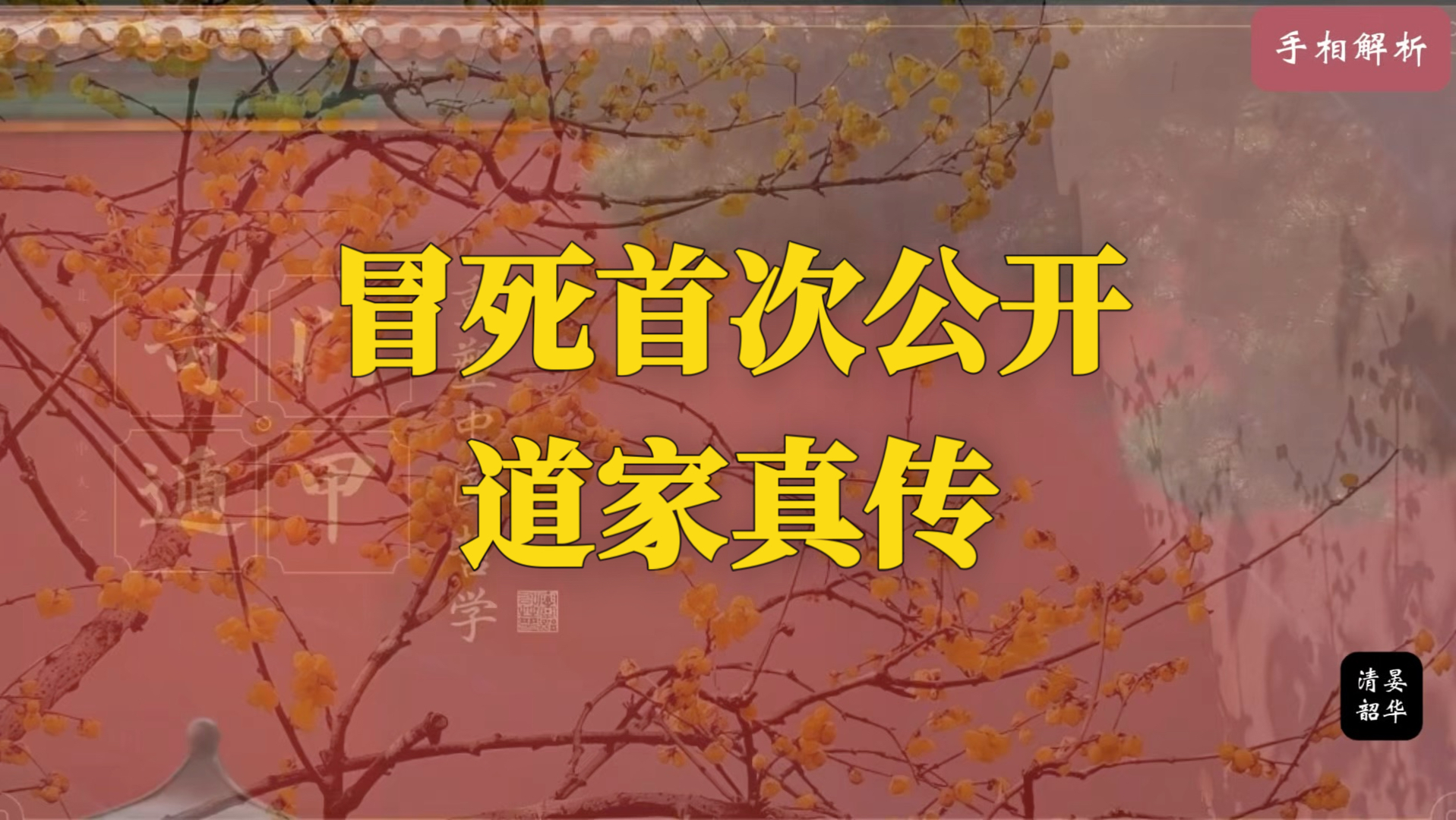 首次公开 道家真传（手相篇）