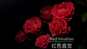 8fab5d96540eff3428a5966922192df41fa771e8.jpg@280w_158h_1c_100q.jpg