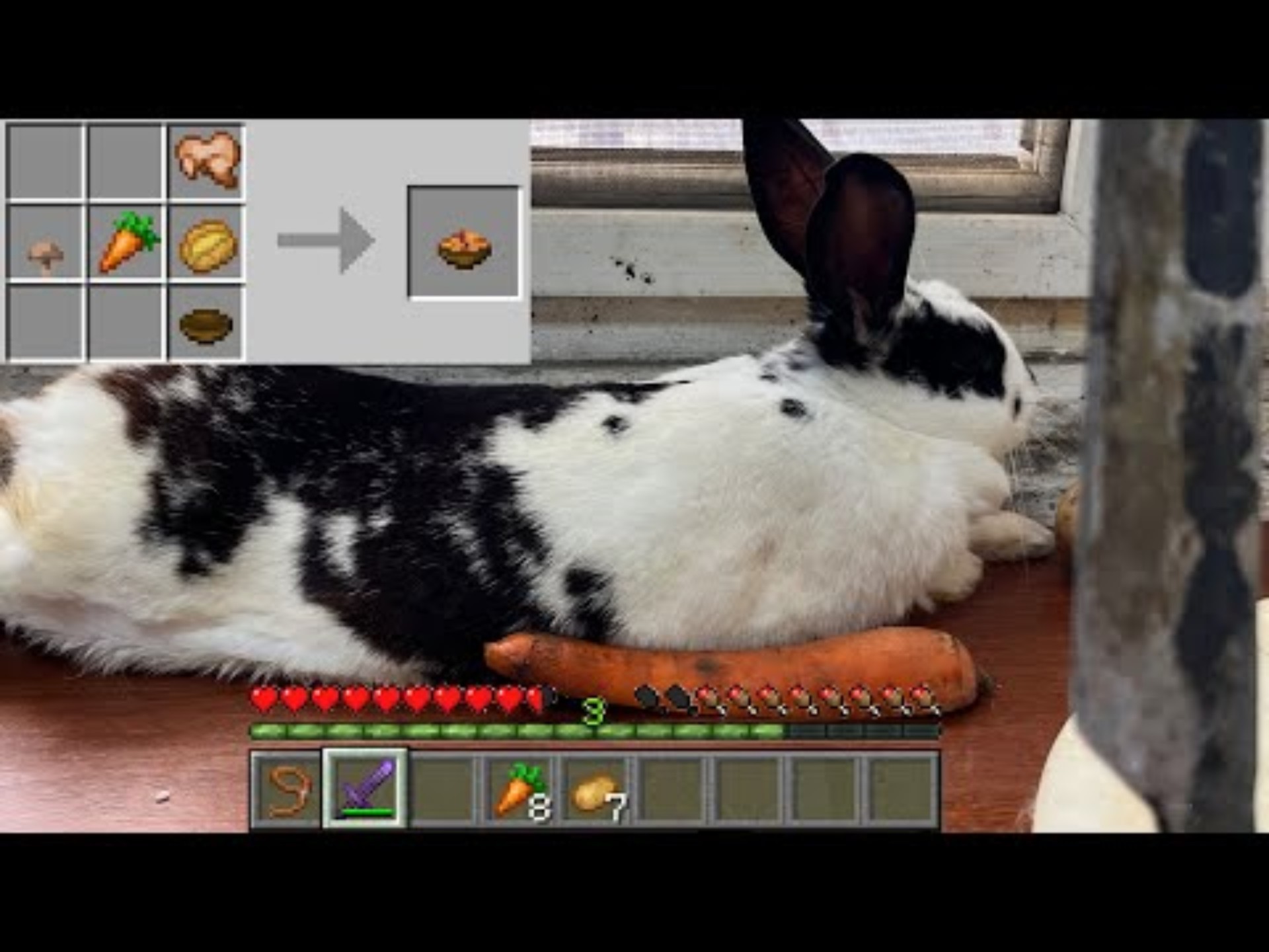 兔子炖菜的制作方法