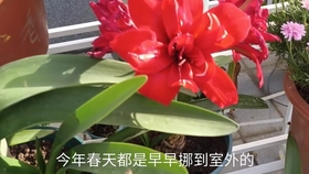 8fdc90344aef9d4e0a3579e74adee235f391d34c.jpg@280w_158h_1c_100q.jpg