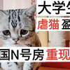 大学生虐猫赚钱被曝光 韩国N号房再现