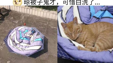 900db5a64cd51e5fa6dc33aaec536c997d32926a.jpg@480w_270h_1c