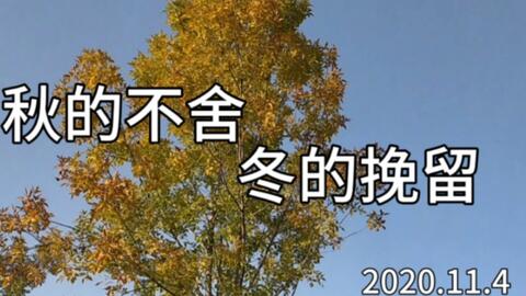 901c28fa30a500f142e708ee55d99844e75ea083.jpg@480w_270h_1c