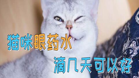 9024c399bd8dd6c62898be4b7b02738439083d4f.jpg@480w_270h_1c