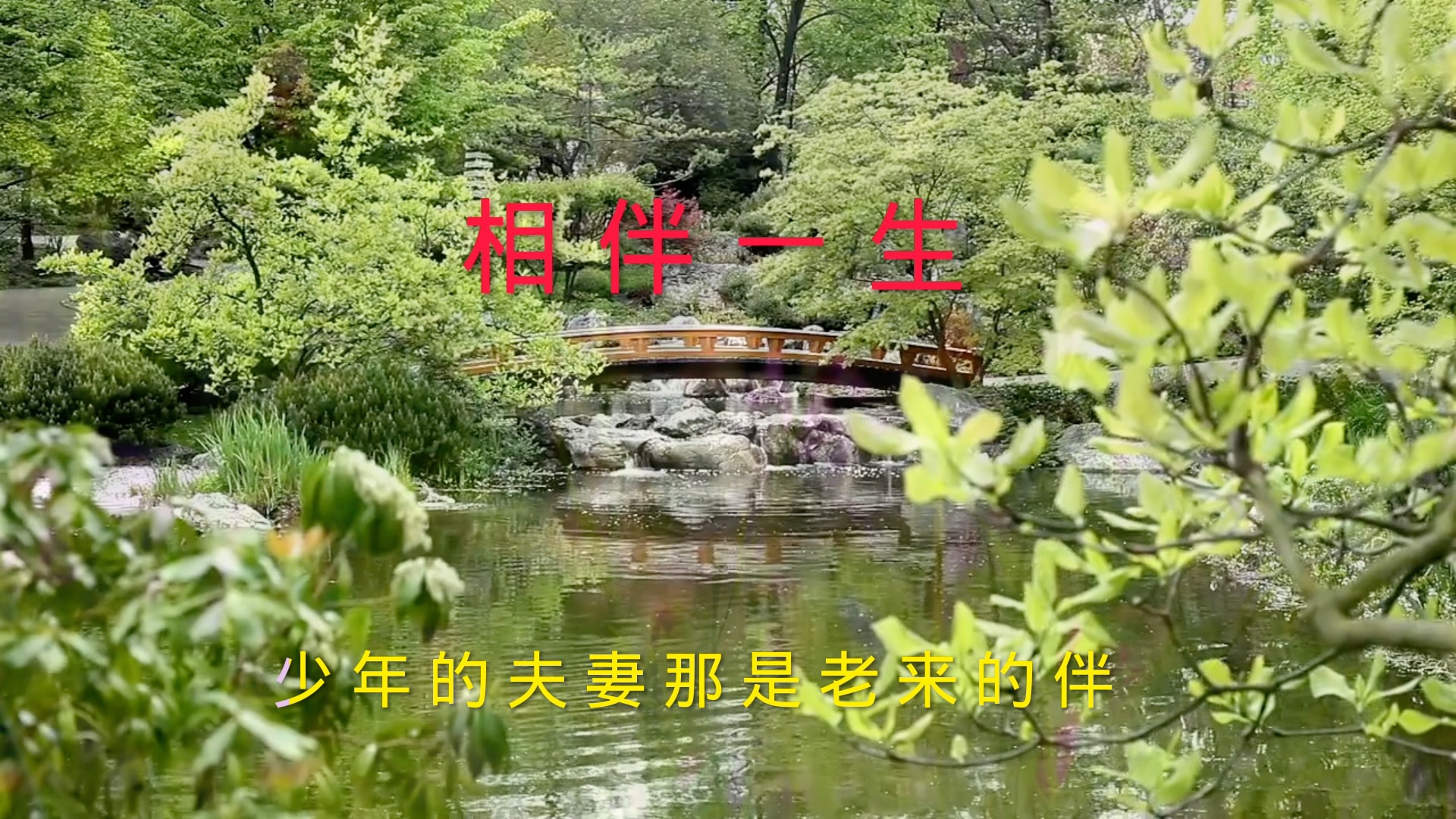 一首男女对唱歌曲(相伴一生)