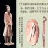 北京大学丨中国古代政治与文化  阎步克 邓小南 （全） 高清