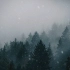 Snowfall in Forest   FREE Motion Background Animation - 4K.m