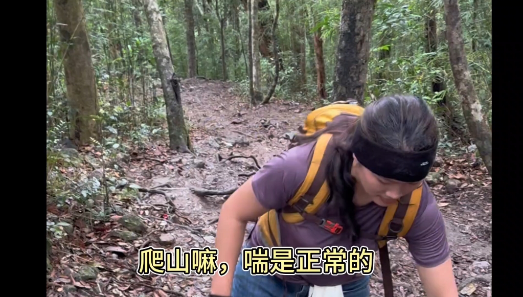 五指山二峰登顶vlog