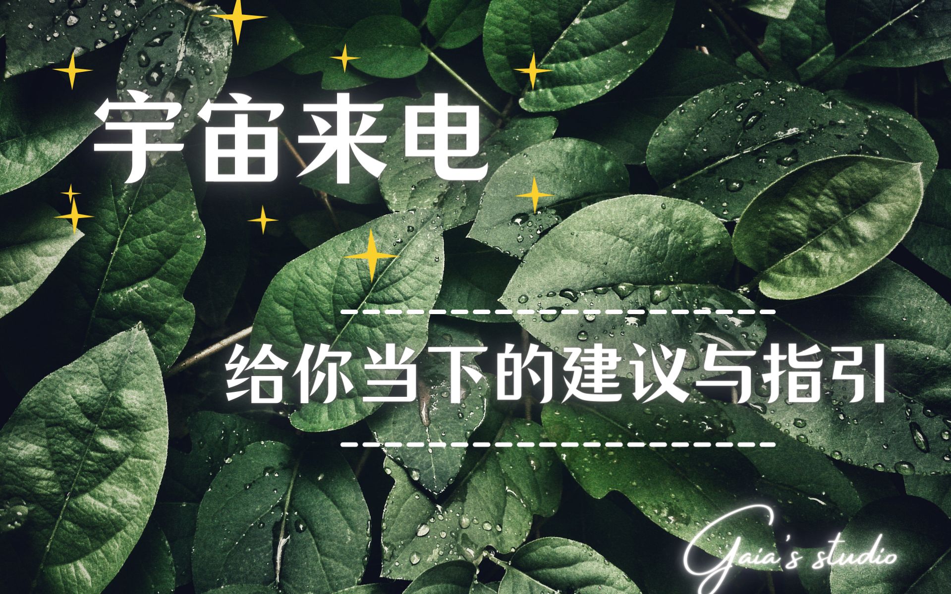 「Gaia's大众占卜」宇宙给你当下的建议与指引