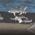 Houdini 制作鲨鱼群体粒子逻辑动画视频教程