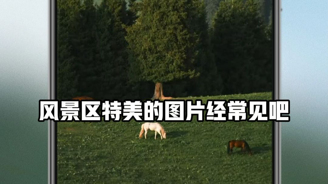 有问题找它就对了