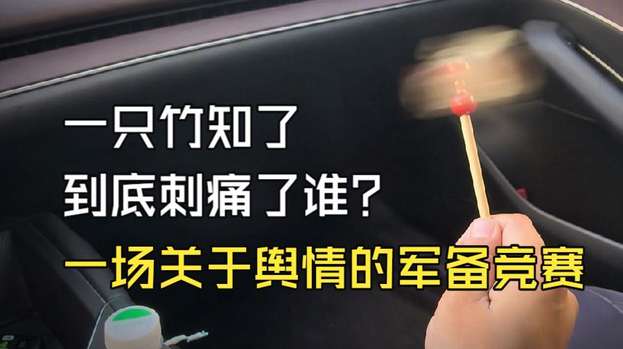 一只竹知了到底刺痛了谁？一场关于舆情的军备竞赛