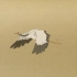 【动画教程】白鹤飞舞的动作设计