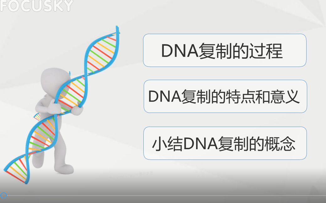 微课 dna的复制过程 哔哩哔哩 つロ干杯 bilibili