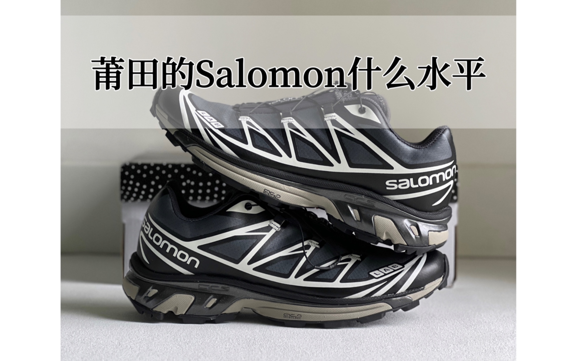 Salomon XT-6 DSM exclusive 別注 26.5 Salomon XT-6 DSM exclusive 別注 26.5