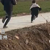 弟弟捣蛋，姐姐一顿“毒打”，姐姐：打弟要趁早
