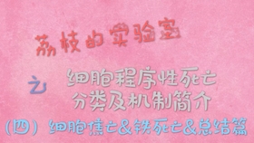 90cbe2c3170fefce1cc47b407c31b57b7115e28b.jpg@280w_158h_1c_100q.jpg