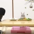 【助眠】可爱兔兔恰晚饭