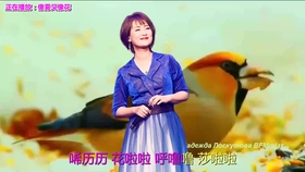 90d064fae54e5aacf0c7981df8cbc7ba1429bd52.jpg@280w_158h_1c_100q.jpg