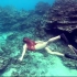 [剪辑师素材]-超高清海岸沙滩珊瑚礁美女潜水旅游摄影风景vlog记录素材d2~短视频剪辑师制作中需要用到的横版空镜头转场