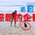 小企鹅为了报恩，连续11年漂洋过海，每年往返5000公里见老人