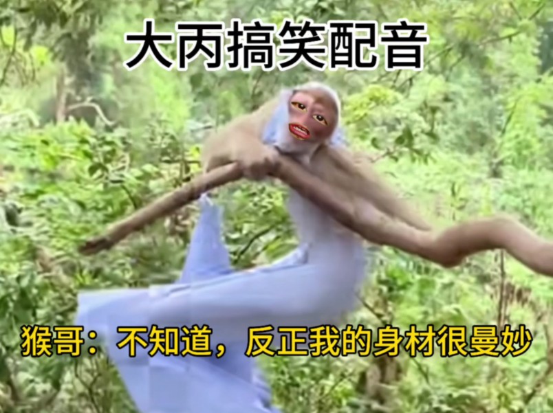 猴哥：不知道，反正我的身材很曼妙