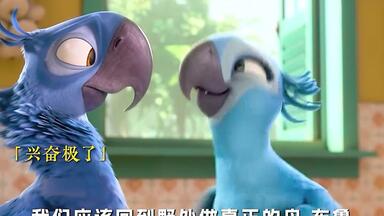 老婆开心，一切顺心！! !