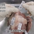 解剖猪心脏（二）——辨认与心脏相连的血管