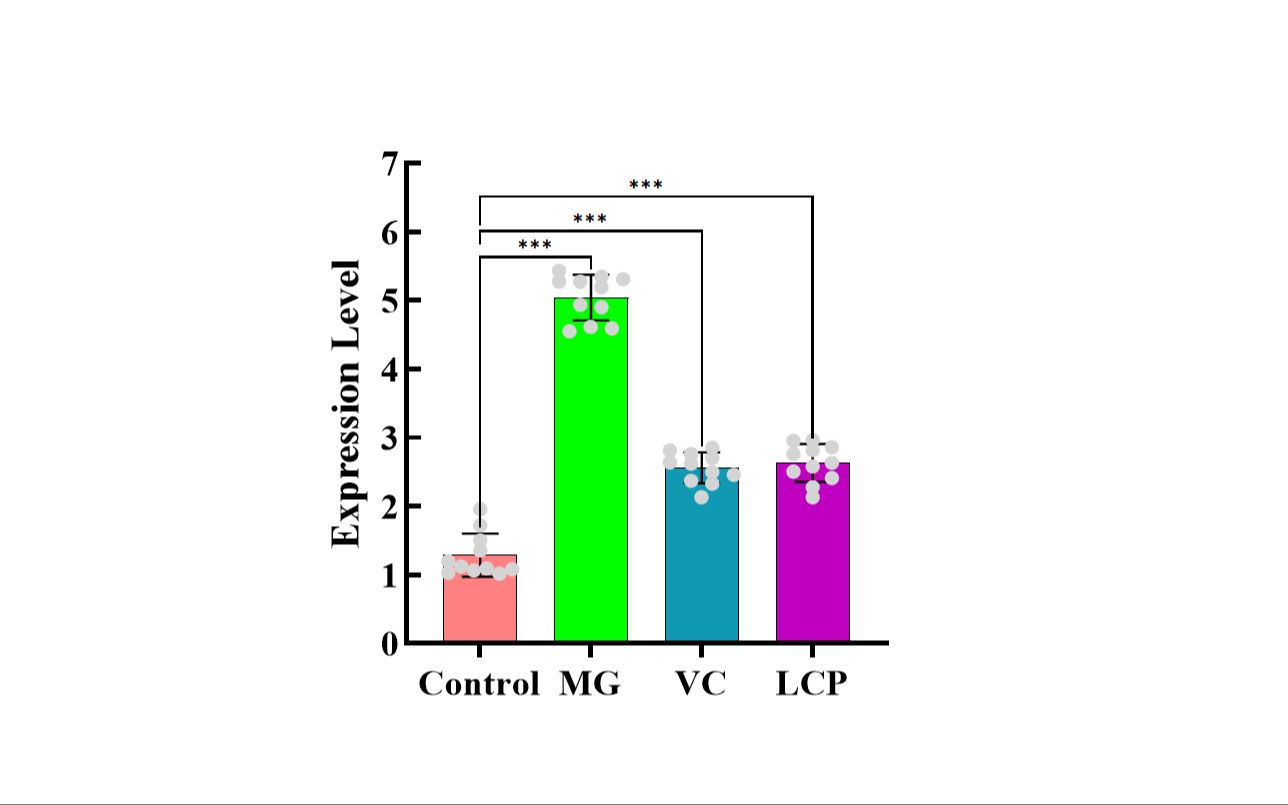 【研究生】Graphpad Prsim进行单因素方差分析并绘制柱形图-自动添加显著性-误差线-散点图-字母标记法