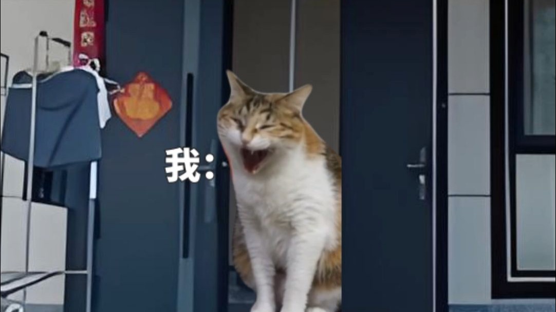 当我刚睡醒遇上来拜年的亲戚