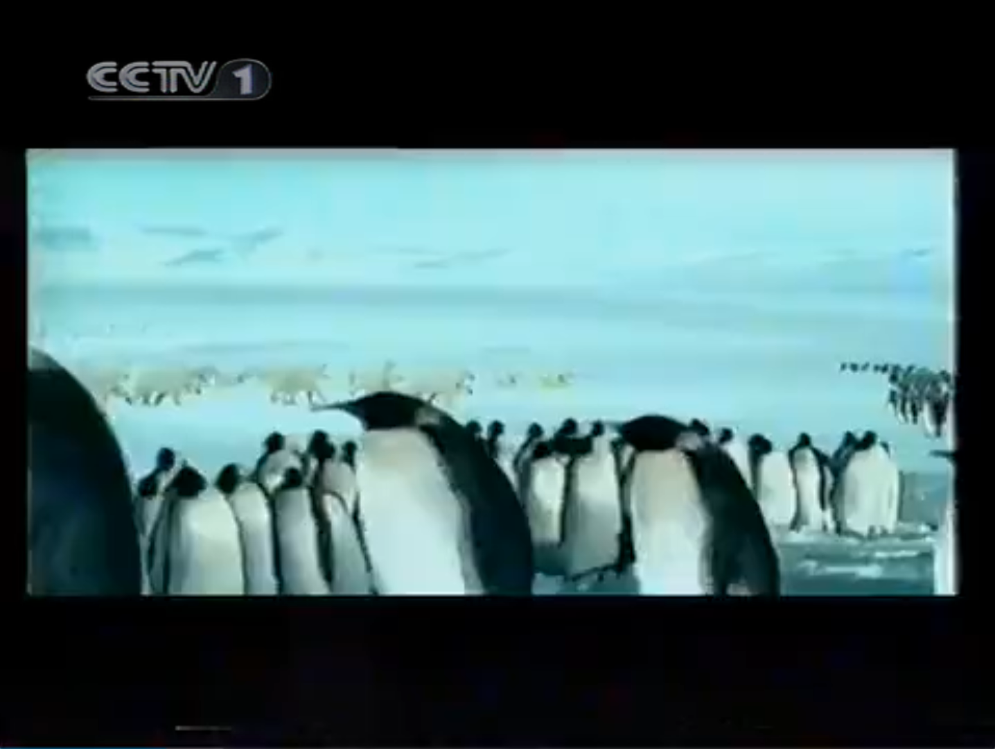 新闻联播2005.6.15之前的广告〈架空〉