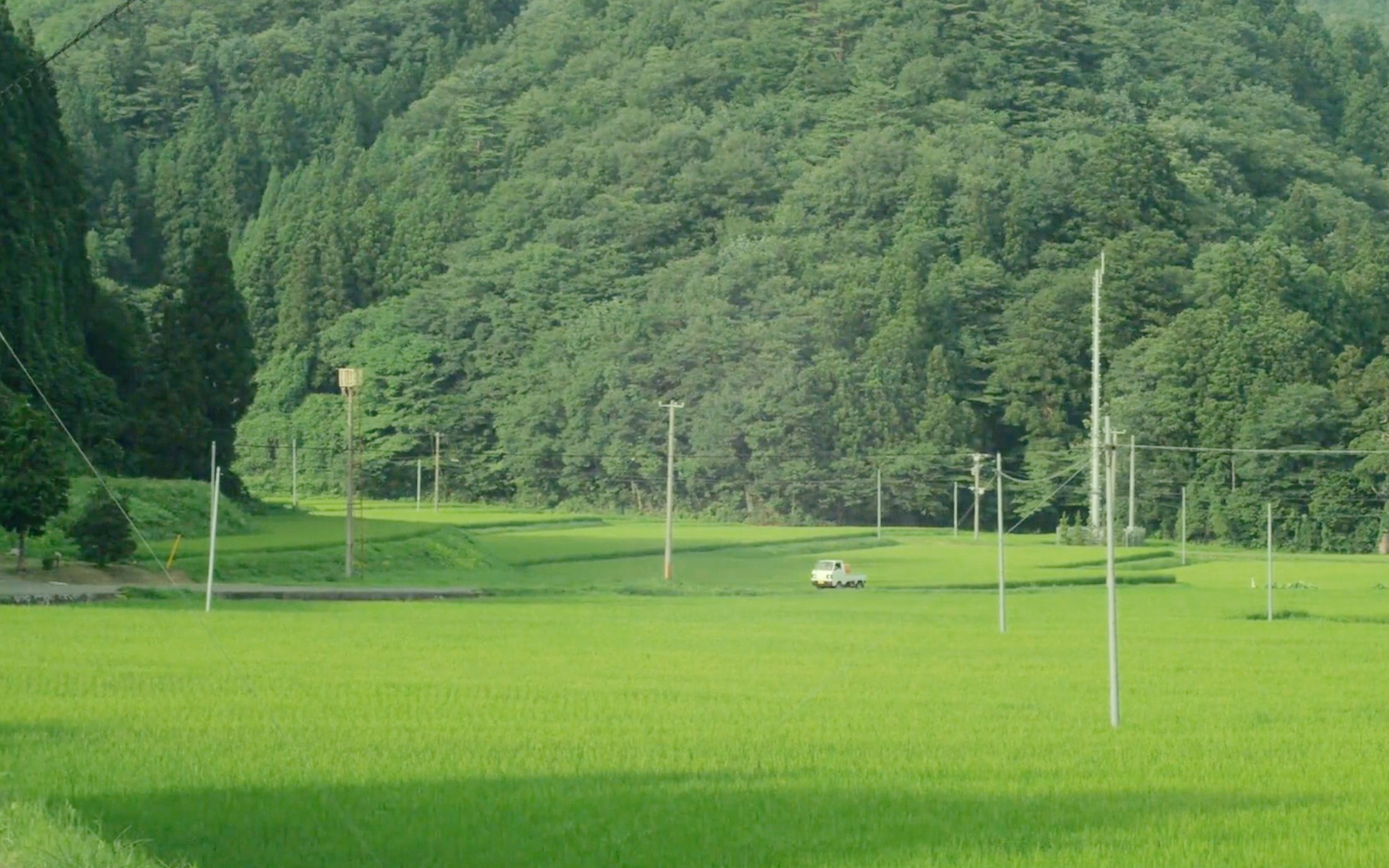 【电影小森林】日式田园风景剪辑 夏秋篇
