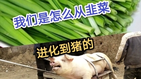 914d3973c7c6d736e43aaad92caed2a41e9e984d.jpg@280w_158h_1c_100q.jpg