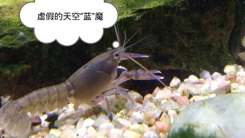 915cd35e9d85ea4543020d38398b5cf37f100efb.jpg@480w_270h_1c