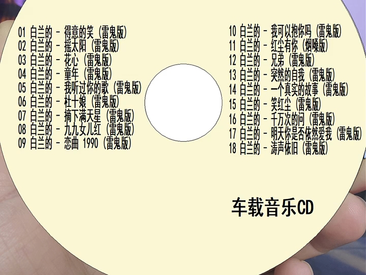 白兰的雷鬼版歌曲精选