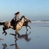 【马】在海滩上尽情奔跑的马！