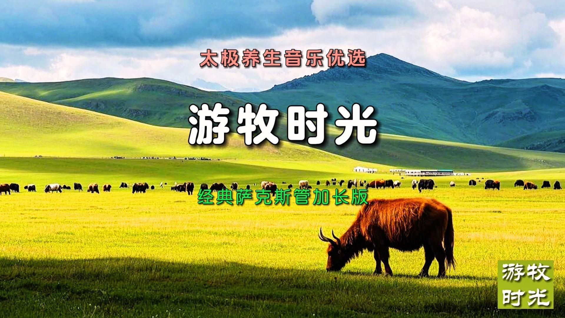 太极养生音乐优选《游牧时光》经典纯音乐加长版邂逅草原魂牵梦绕