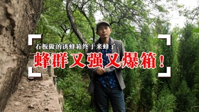 9190ea5d53d47fcccb7cb74284778f27342dde05.jpg@280w_158h_1c_100q.jpg
