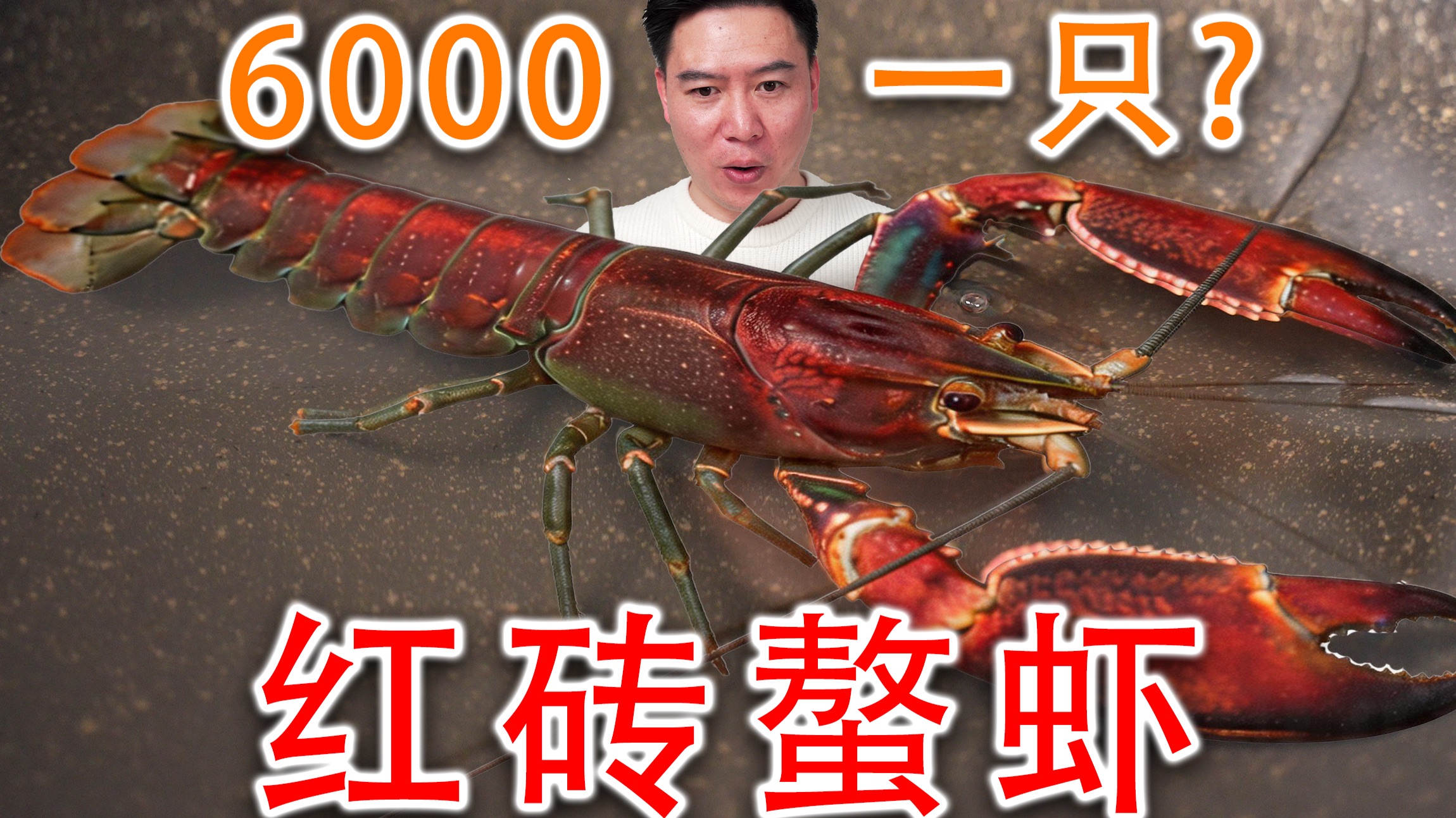 曾经能卖6000元一只的螯虾，到底是什么味道？