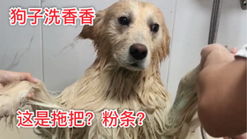 91ca86bc785a8fef4af566517d65bffb37d3cc87.jpg@280w_158h_1c_100q.jpg