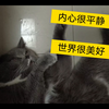 睡到翻白眼