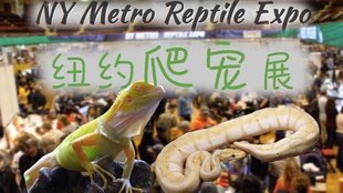 91f992847778965d46b2d0167a476d6ddaf4217f.jpg@310w_174h_1c_100q.jpg