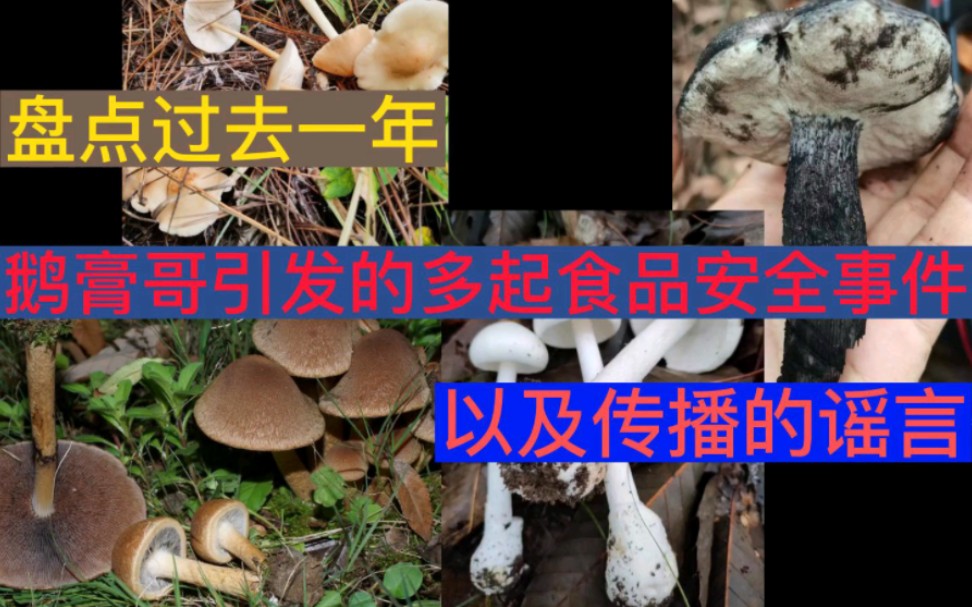 一个民科引起的食品安全事件,以及掩盖失误的种种行径鹅膏哥之“黑历史”哔哩哔哩bilibili