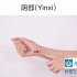 【开穴减肥】经络穴位视频：阴郄（定位：在前臂掌侧，当尺侧腕屈肌腱的桡侧缘，腕横纹上0.5寸。）